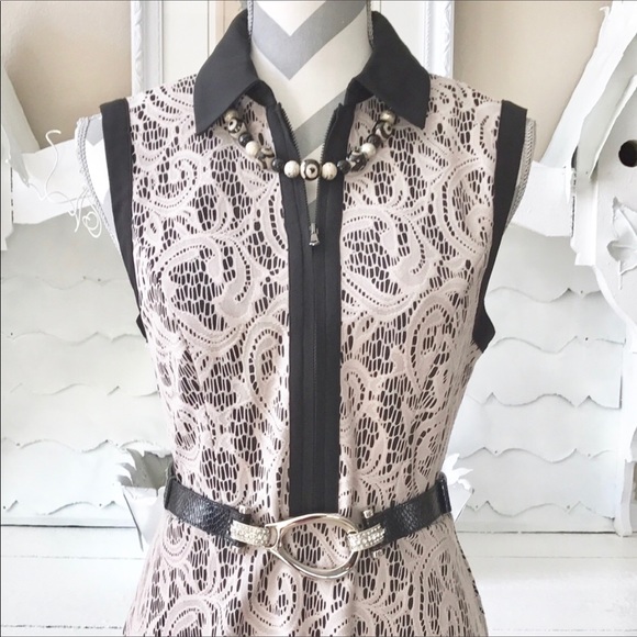 Collared Fit & Flare Lace Dress - Picture 3 of 4